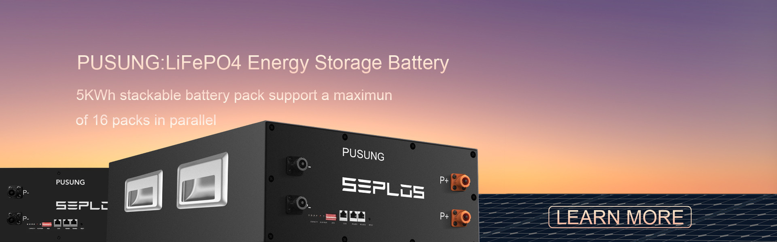 quality Seplos LiFePO4 Battery Pack factory